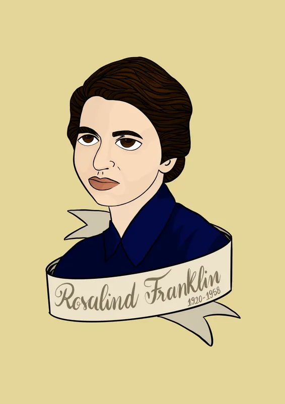 Representation of the user flow